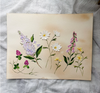 A Light Exists in Spring, 14x11