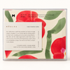Poinsettia Christmas - Hand Painted Greeting Card, Boxed Set of 6