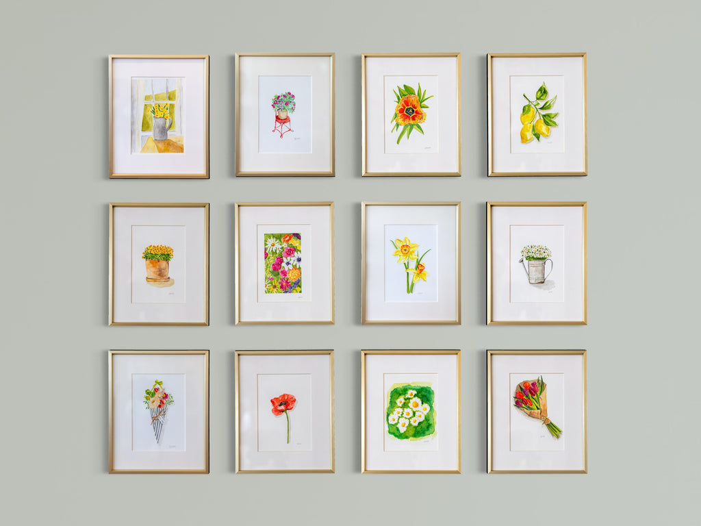 Set of framed botanical illustrations on a gray wall