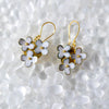 Floral earrings with gold accents on a textured white background