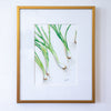 "Ordinary Beauty" in 8x10 Brass Frames - Green Onions