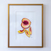 "Ordinary Beauty" in 8x10 Brass Frames - Peaches