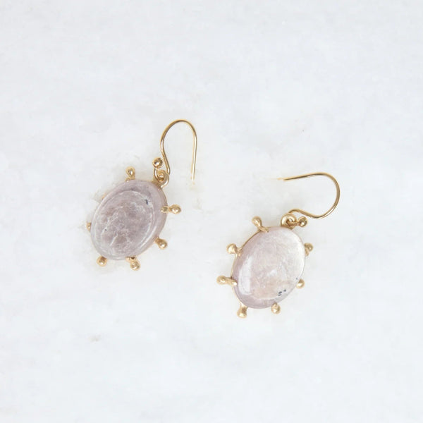 Pair of earrings with gold accents on a white background