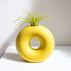 Donut Vase - One of a Kind